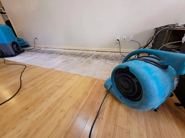 Professional Basement Flood Cleanup technician working in Midway, UT